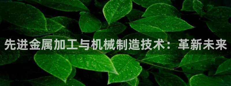星欧娱乐登录网页版登录