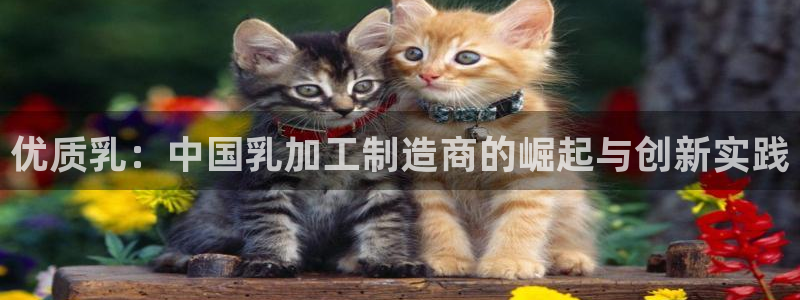 星欧娱乐最新版下载链接