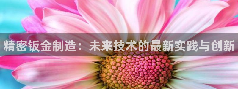 星欧娱乐招商