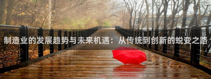 星欧娱乐注册