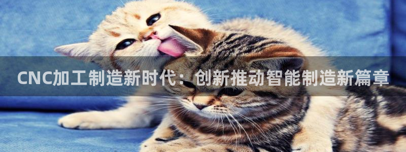 星欧娱乐登录注册