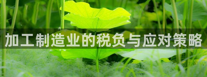星欧娱乐官方网页