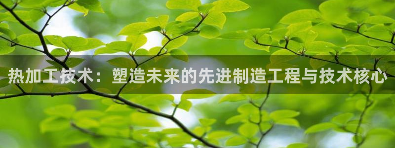 娱乐星天地欧豪