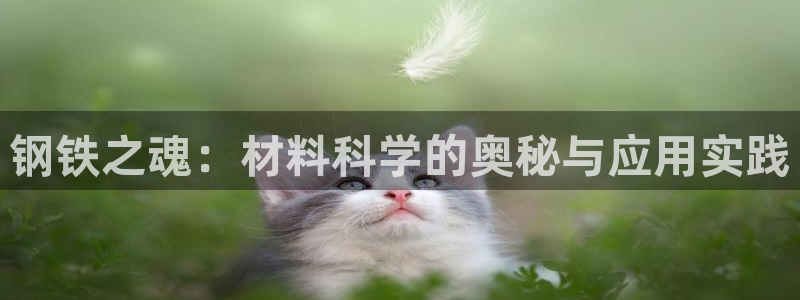 星辉娱乐进入欧联杯