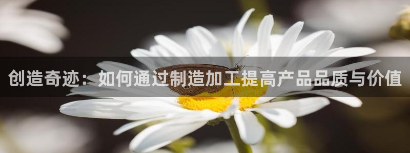欧乐星城好玩的娱乐场所