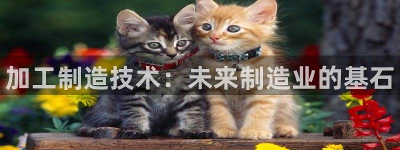 星欧娱乐怎么注册