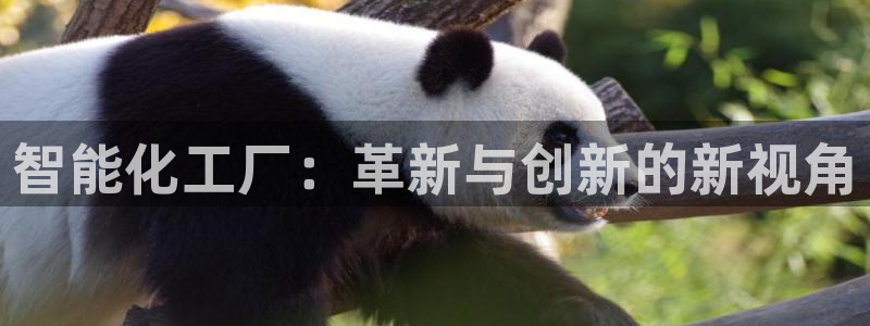 欧星娱乐pt