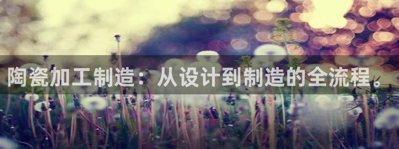 星欧娱乐雀V是什么平台