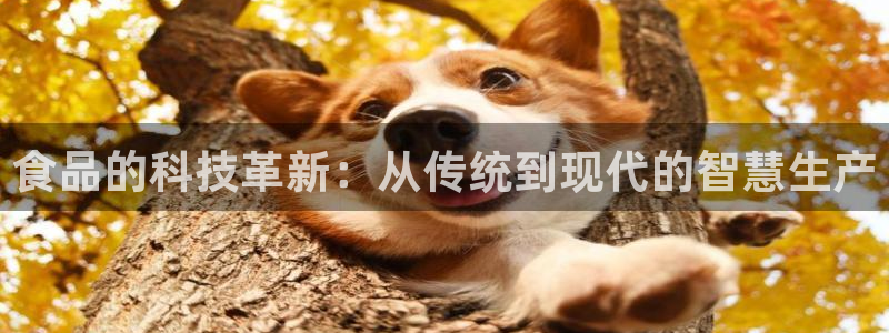 武汉欧汇星娱乐城