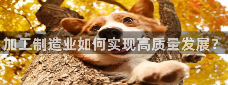 星欧娱乐用户登录中心