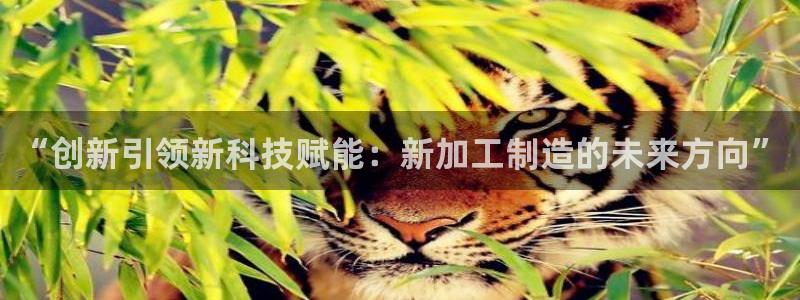 欧赫娱乐 超级星学院