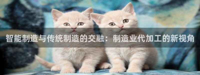 七星娱乐欧包