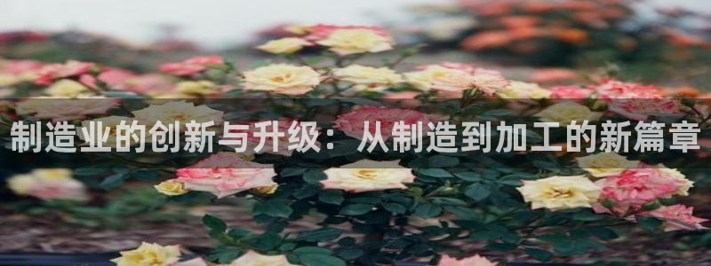 星欧娱乐法最新进展