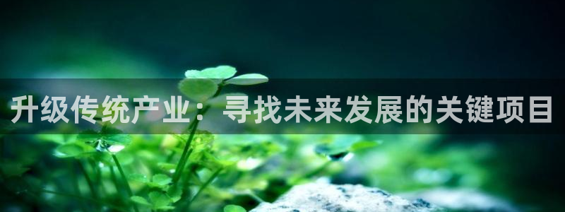 星欧娱乐官网