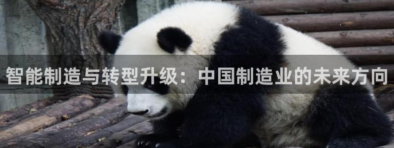 星欧娱乐雀V是什么平台