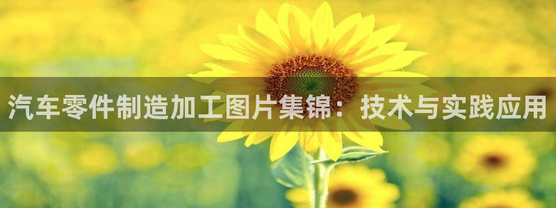 星欧娱乐官方网站首页