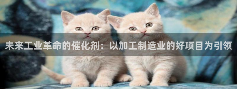 星欧娱乐app登录入口