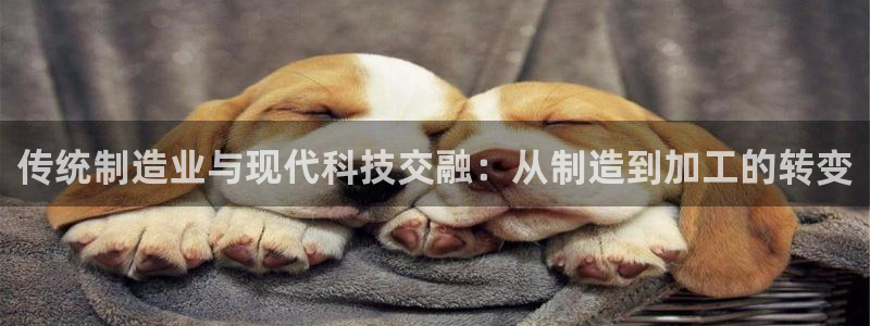 星欧娱乐平台是什么