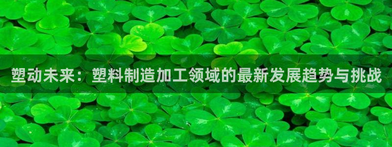 星欧娱乐负责人