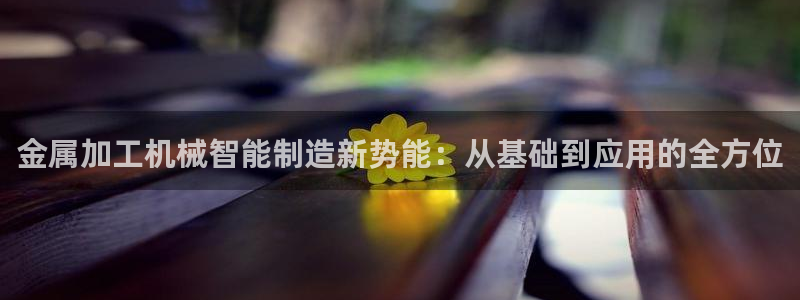 星欧娱乐扣钱步骤详解