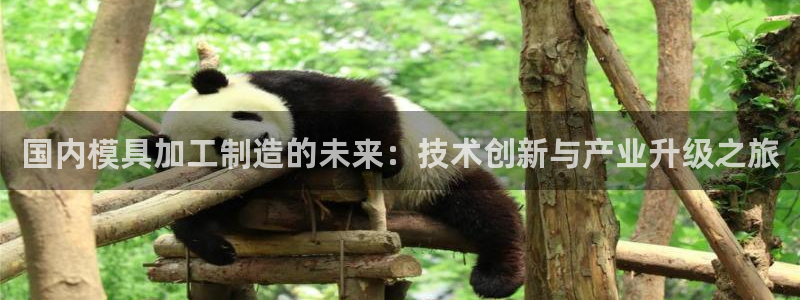 星娱乐欧嘉78778