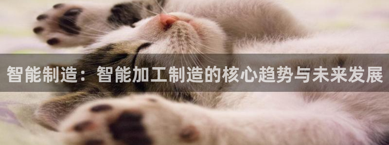 欧星娱乐08