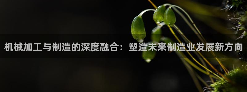 星欧娱乐扣费处理方法