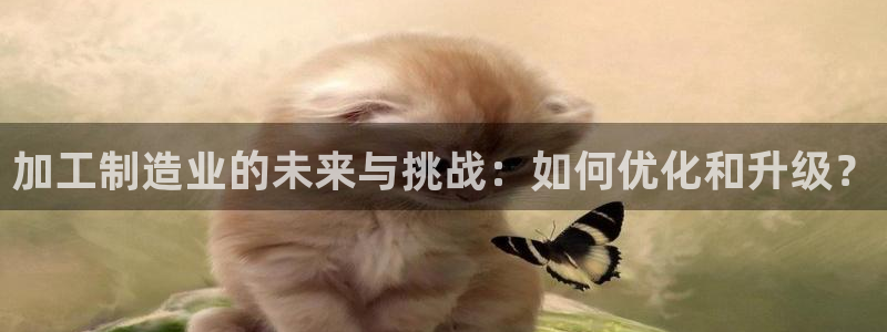 欧星娱乐国际平台