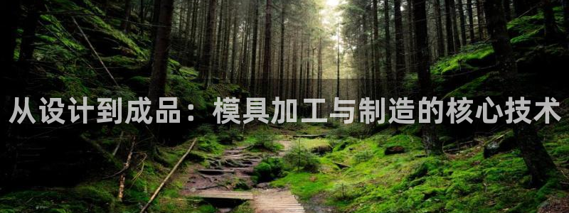 星欧娱乐扣费详情详解