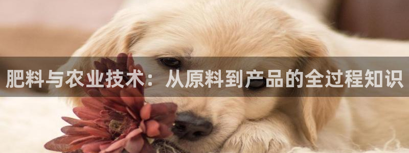 星欧娱乐官网登录