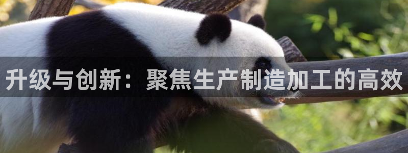星欧娱乐官网客服电话