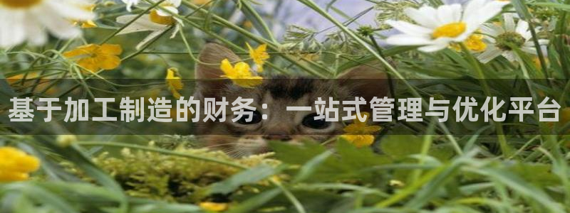 星欧娱乐主管招商中