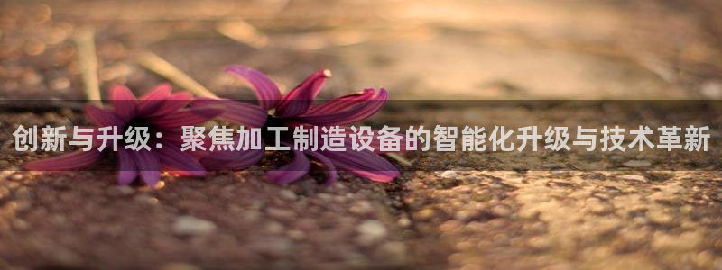 星欧娱乐伐官网注册