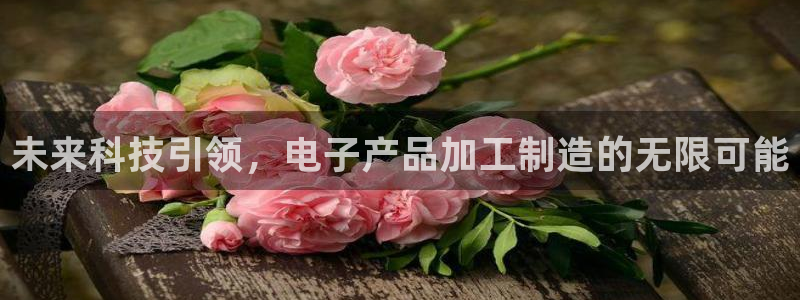 武汉欧汇星娱乐城