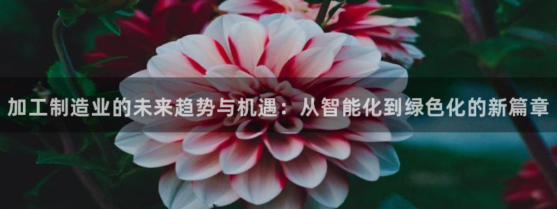 星欧娱乐app登录入口