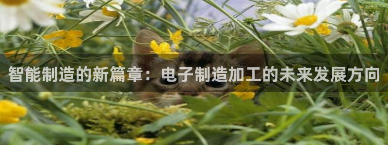 星欧娱乐公司