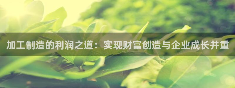 星欧娱乐的官方网站