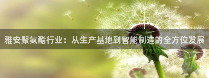 欧星娱乐棋牌怎么样