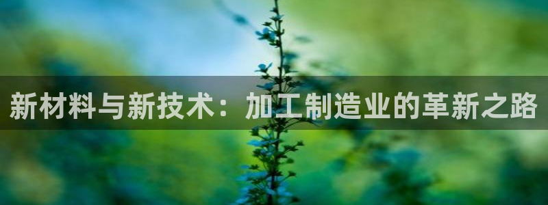 小西门欧乐星城娱乐项目