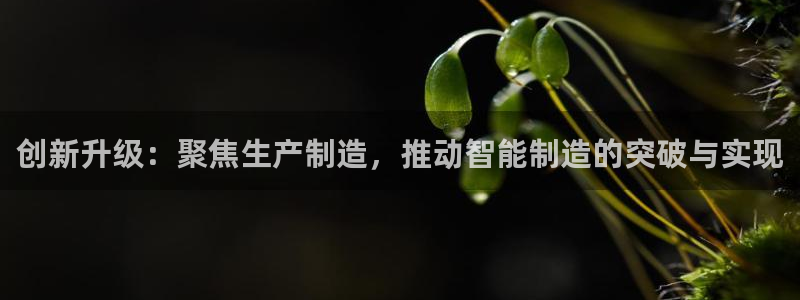 星欧娱乐最近怎么了