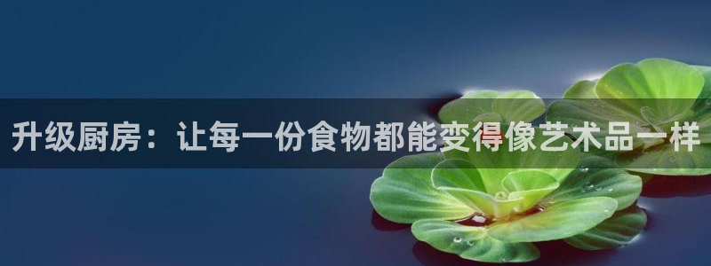 星辉娱乐进入欧联杯