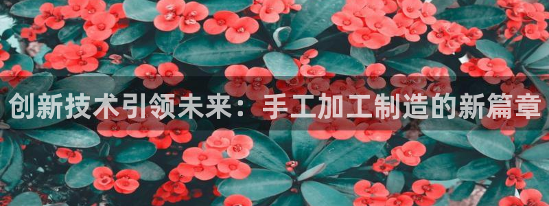 菲律宾亚星国际娱乐欧博