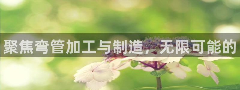 欧星娱乐网址接受
