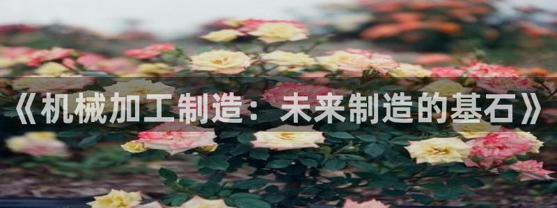 星欧娱乐用户名和密码