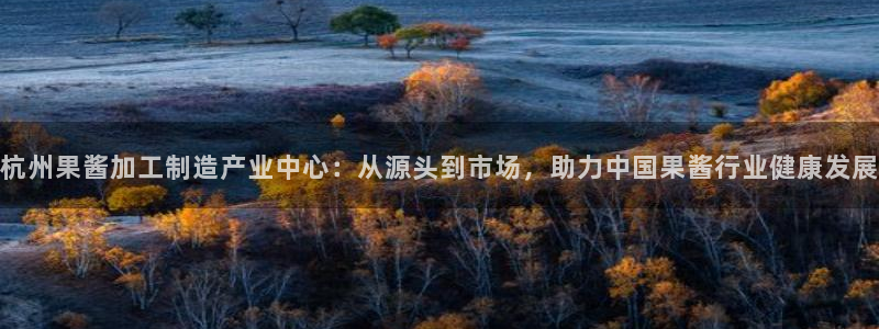 星辉娱乐西班牙人欧联