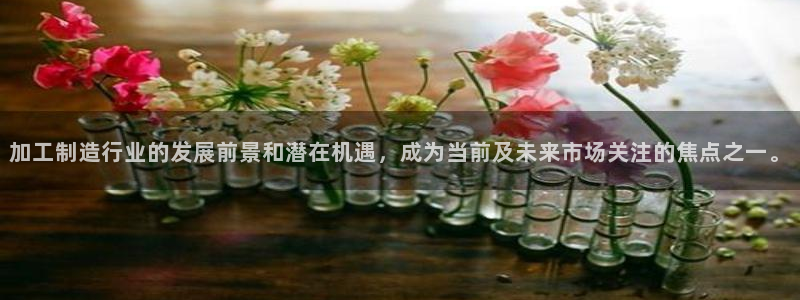 欧乐星城娱乐