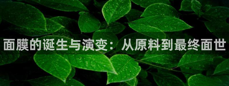 娱乐星扒客欧豪