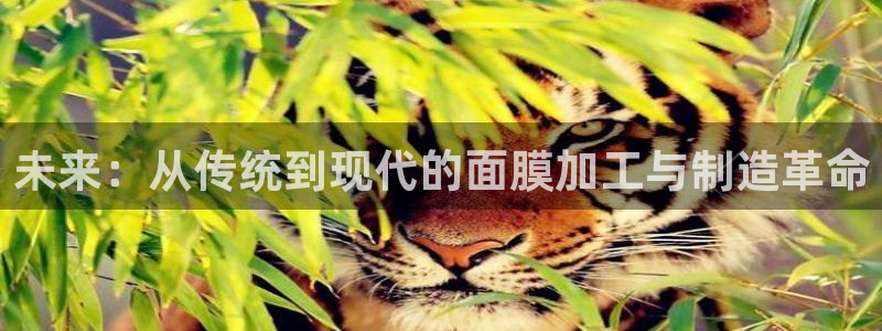 星欧娱乐挂机