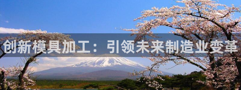 欧星娱乐的盘口