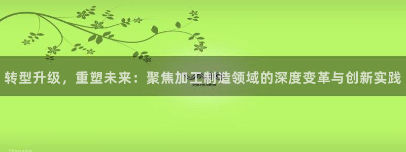 欧星科技娱乐公司